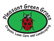 Pleasant Green Grass